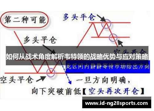 如何从战术角度解析韦特领的战略优势与应对策略