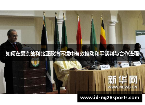 如何在复杂的利比亚政治环境中有效推动和平谈判与合作进程