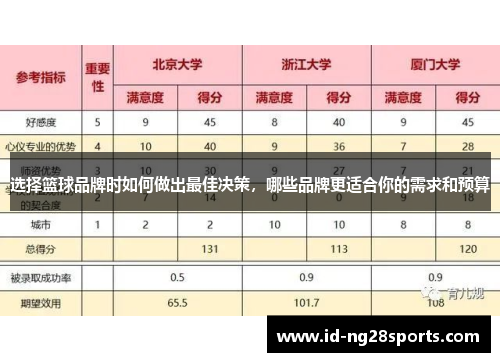 选择篮球品牌时如何做出最佳决策，哪些品牌更适合你的需求和预算